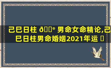 己巳日柱 💮 男命女命精论,己巳日柱男命婚姻2021年运 ☘ 势